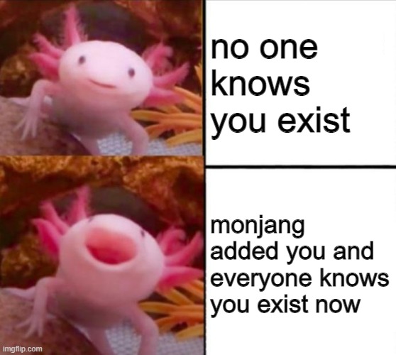 axolotl drake | no one knows you exist; monjang added you and everyone knows you exist now | image tagged in axolotl drake | made w/ Imgflip meme maker