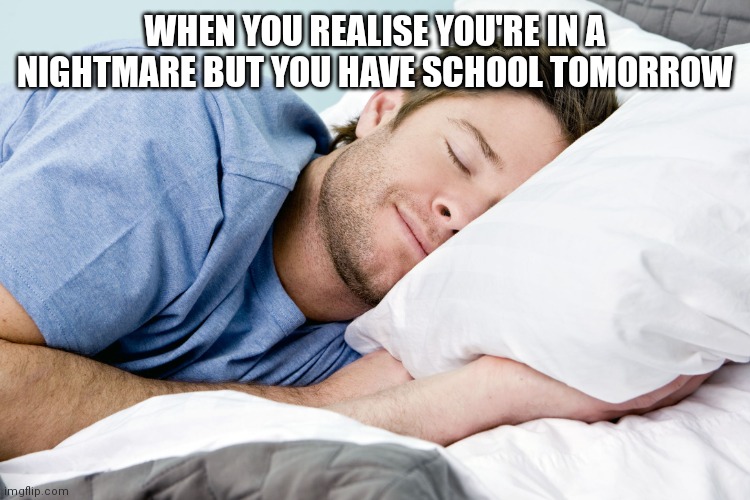 Gotta get that sleep man | WHEN YOU REALISE YOU'RE IN A NIGHTMARE BUT YOU HAVE SCHOOL TOMORROW | image tagged in sleeping man | made w/ Imgflip meme maker