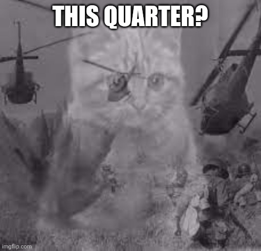 Cat war flashback | THIS QUARTER? | image tagged in cat war flashback | made w/ Imgflip meme maker