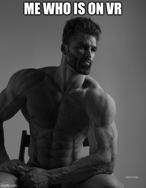 Giga Chad | ME WHO IS ON VR | image tagged in giga chad | made w/ Imgflip meme maker