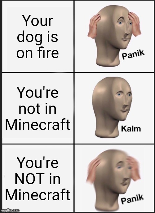 Panik oh no | Your dog is on fire; You're not in Minecraft; You're NOT in Minecraft | image tagged in memes,panik kalm panik | made w/ Imgflip meme maker