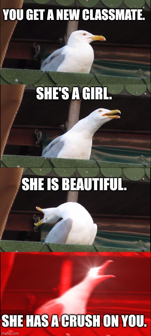 Sheeeesh. | YOU GET A NEW CLASSMATE. SHE'S A GIRL. SHE IS BEAUTIFUL. SHE HAS A CRUSH ON YOU. | image tagged in memes,inhaling seagull | made w/ Imgflip meme maker