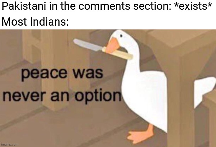 Untitled Goose Peace Was Never an Option | Pakistani in the comments section: *exists*; Most Indians: | image tagged in untitled goose peace was never an option | made w/ Imgflip meme maker
