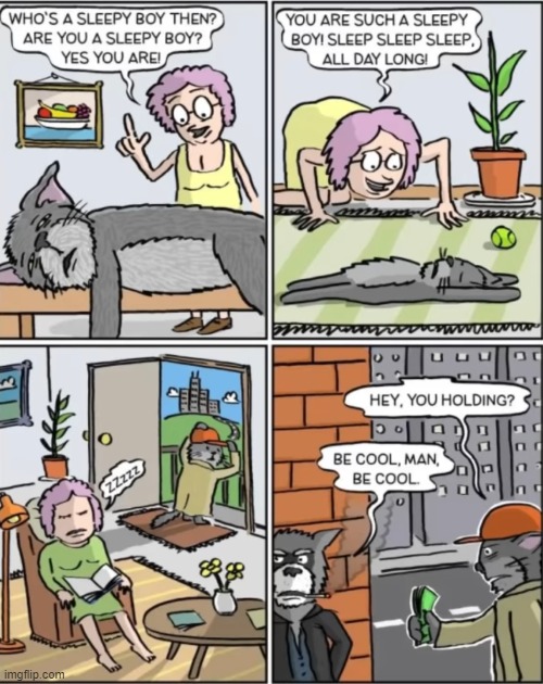 image tagged in comics | made w/ Imgflip meme maker
