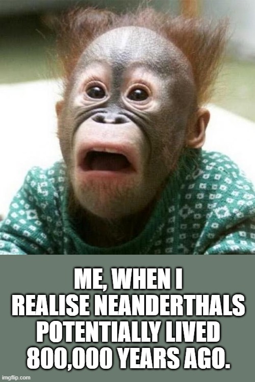 Shocked Monkey | ME, WHEN I REALISE NEANDERTHALS POTENTIALLY LIVED 800,000 YEARS AGO. | image tagged in shocked monkey | made w/ Imgflip meme maker