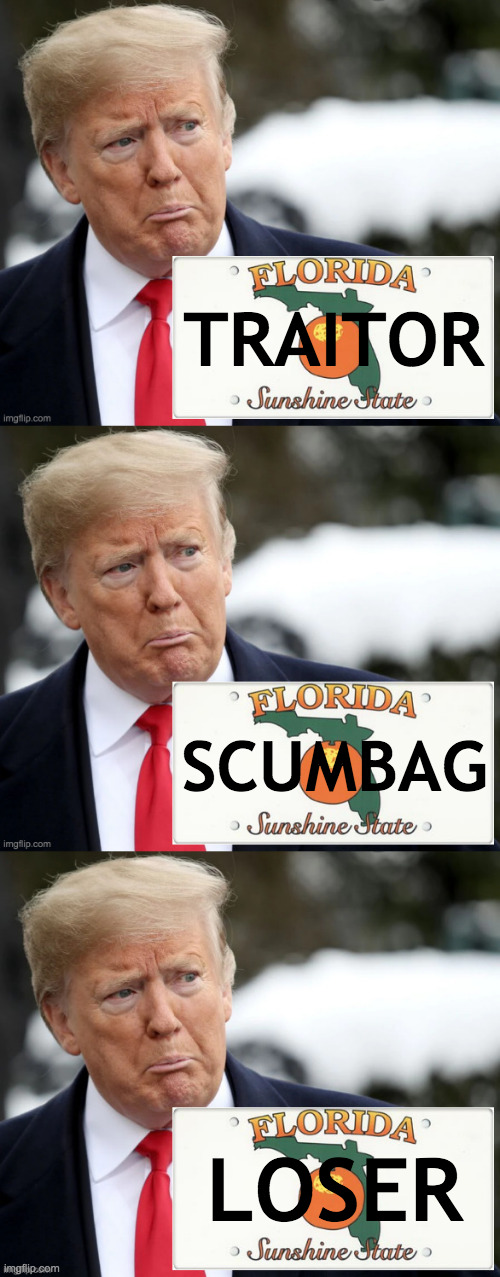 Justice template  ( : | TRAITOR; SCUMBAG; LOSER | image tagged in trump license plate,memes,justice for all,no freedom for you | made w/ Imgflip meme maker