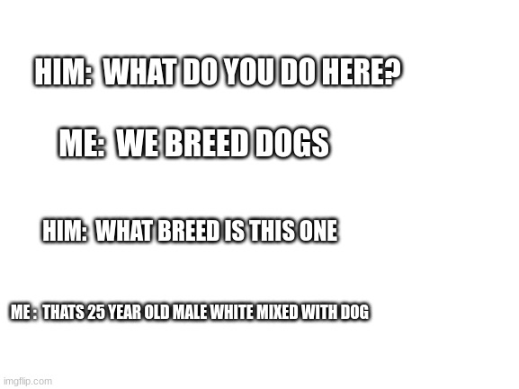 Doge | HIM:  WHAT DO YOU DO HERE? ME:  WE BREED DOGS; HIM:  WHAT BREED IS THIS ONE; ME :  THATS 25 YEAR OLD MALE WHITE MIXED WITH DOG | image tagged in blank white template | made w/ Imgflip meme maker