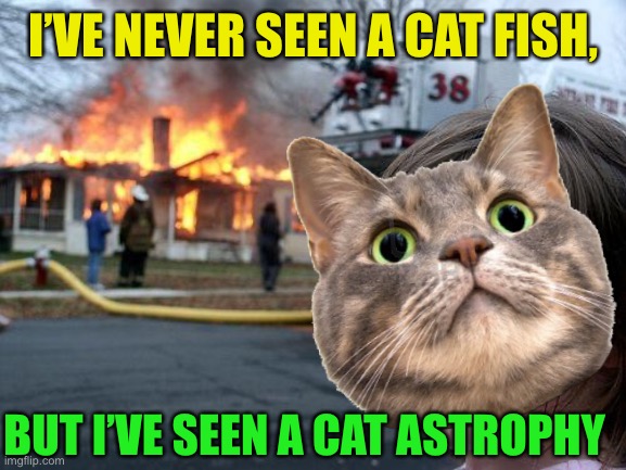 I’VE NEVER SEEN A CAT FISH, BUT I’VE SEEN A CAT ASTROPHY | made w/ Imgflip meme maker