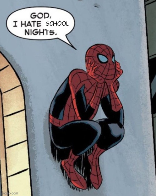 Hes right |  SCHOOL | image tagged in spiderman | made w/ Imgflip meme maker