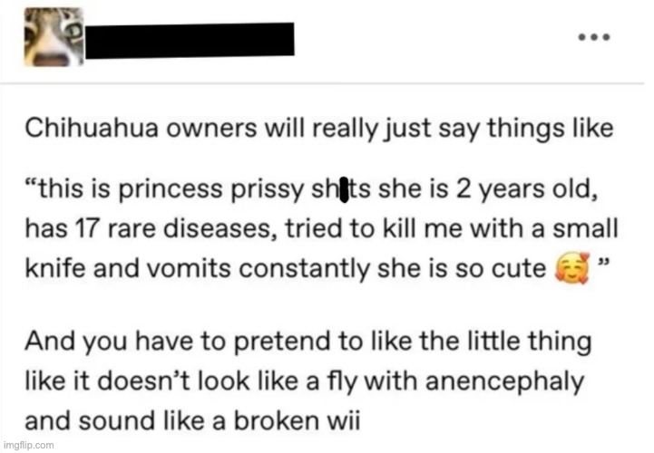 BEST POST EVER | image tagged in memes,unfunny | made w/ Imgflip meme maker