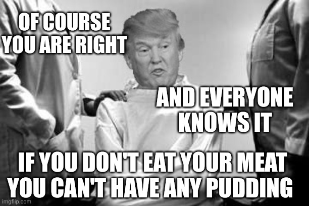 Warning genius at work | OF COURSE YOU ARE RIGHT; AND EVERYONE KNOWS IT; IF YOU DON'T EAT YOUR MEAT YOU CAN'T HAVE ANY PUDDING | image tagged in trump strait jacket | made w/ Imgflip meme maker