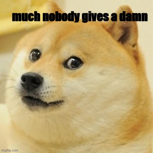 Doge Meme | much nobody gives a damn | image tagged in memes,doge | made w/ Imgflip meme maker