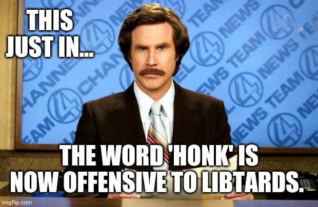 You can't say it on FB anymore. | THIS JUST IN... THE WORD 'HONK' IS NOW OFFENSIVE TO LIBTARDS. | image tagged in breaking news | made w/ Imgflip meme maker