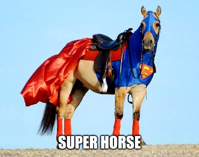 SUPER HORSE | made w/ Imgflip meme maker