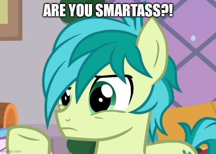 ARE YOU SMARTASS?! | image tagged in sandbar,smartass | made w/ Imgflip meme maker