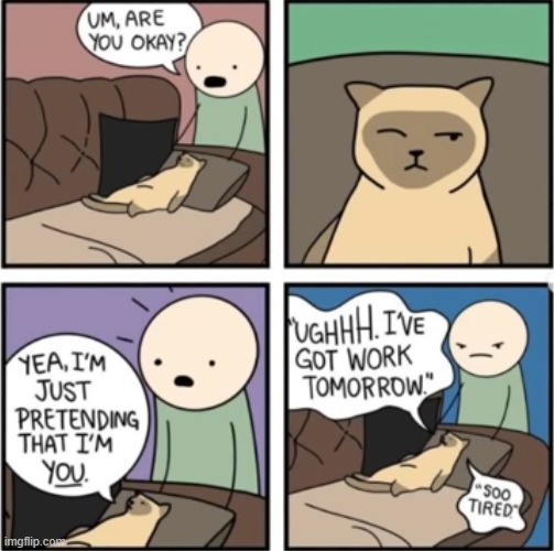 image tagged in comics | made w/ Imgflip meme maker