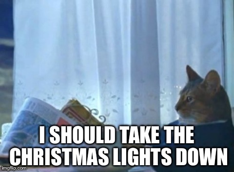 I Should Buy A Boat Cat Meme | I SHOULD TAKE THE CHRISTMAS LIGHTS DOWN | image tagged in memes,i should buy a boat cat | made w/ Imgflip meme maker