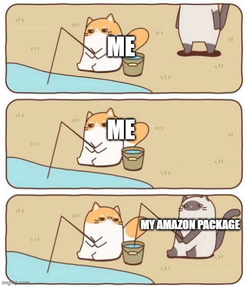 Cat Fishing | ME; ME; MY AMAZON PACKAGE | image tagged in cat fishing | made w/ Imgflip meme maker