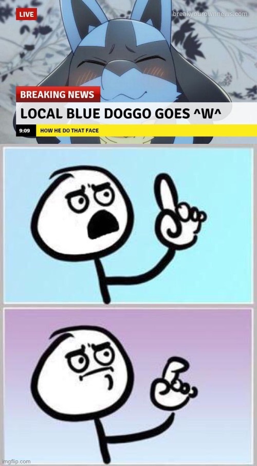 UwU | image tagged in wait what | made w/ Imgflip meme maker