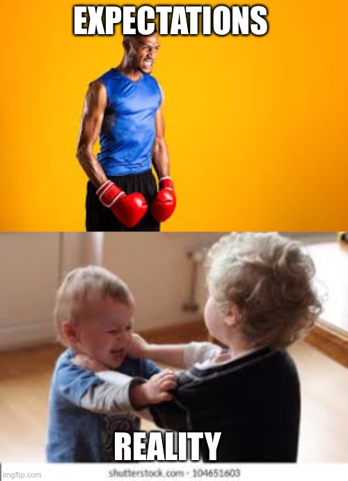 Men fighting | EXPECTATIONS; REALITY | image tagged in expectation vs reality | made w/ Imgflip meme maker