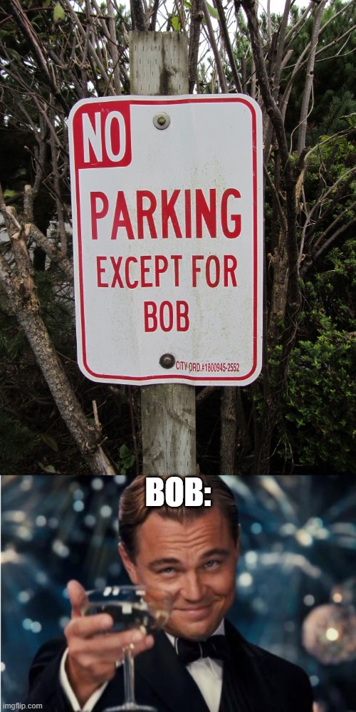 Bob made this sign, I'm pretty sure | BOB: | image tagged in leonardo dicaprio cheers,bob,no parking,lol,dumbo | made w/ Imgflip meme maker