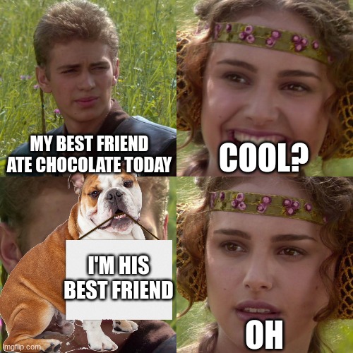 MY BEST FRIEND ATE CHOCOLATE TODAY; COOL? I'M HIS BEST FRIEND; OH | image tagged in chocolate | made w/ Imgflip meme maker