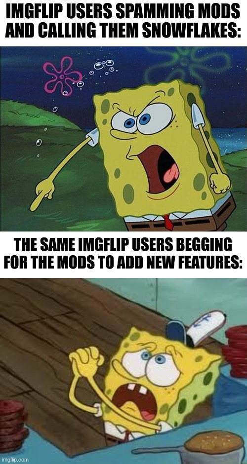 is this seriously how you plan to get new features? | IMGFLIP USERS SPAMMING MODS AND CALLING THEM SNOWFLAKES:; THE SAME IMGFLIP USERS BEGGING FOR THE MODS TO ADD NEW FEATURES: | image tagged in spongebob yelling,begging bob fix euw | made w/ Imgflip meme maker