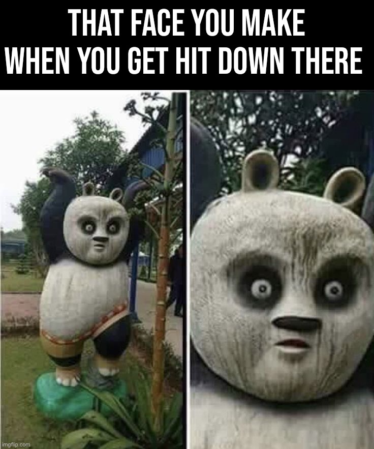That will really hurt. | THAT FACE YOU MAKE WHEN YOU GET HIT DOWN THERE | image tagged in memes,funny,ouch,down there | made w/ Imgflip meme maker