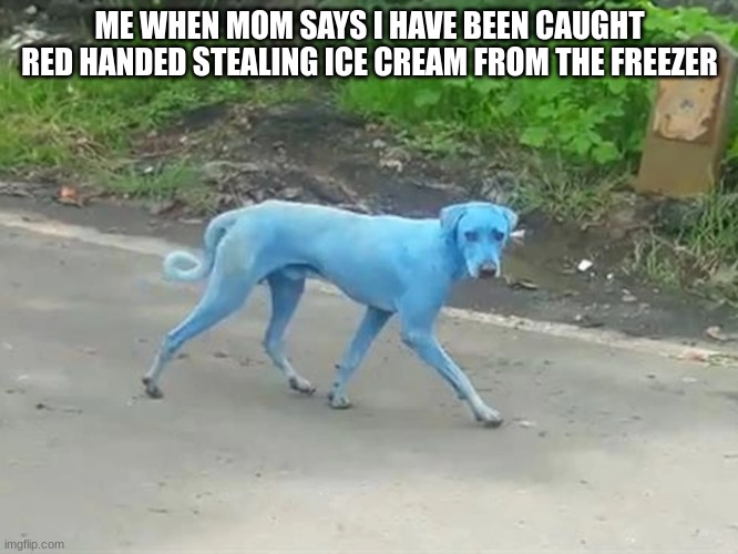 Who Else Feels Like This | ME WHEN MOM SAYS I HAVE BEEN CAUGHT RED HANDED STEALING ICE CREAM FROM THE FREEZER | image tagged in i didn't see anything | made w/ Imgflip meme maker