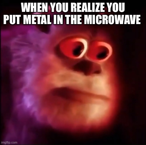 Monster inc. | WHEN YOU REALIZE YOU PUT METAL IN THE MICROWAVE | image tagged in monster inc | made w/ Imgflip meme maker