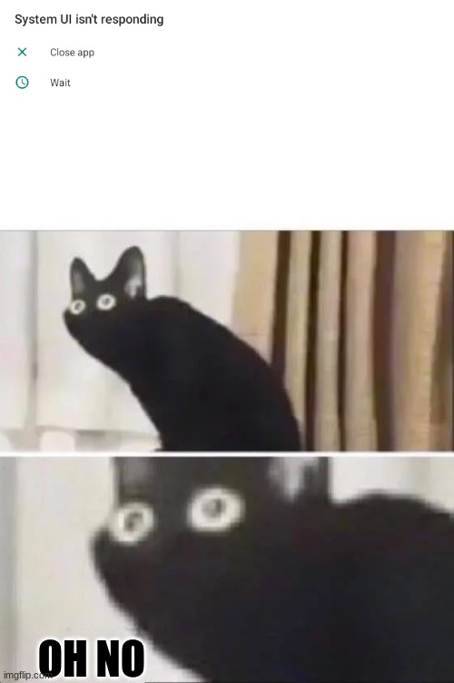 well crap | OH NO | image tagged in oh no black cat | made w/ Imgflip meme maker