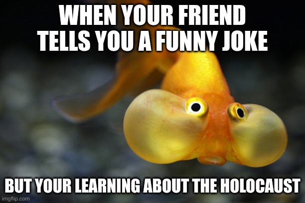 hold your breath goldfish | WHEN YOUR FRIEND TELLS YOU A FUNNY JOKE; BUT YOUR LEARNING ABOUT THE HOLOCAUST | image tagged in hold your breath goldfish | made w/ Imgflip meme maker