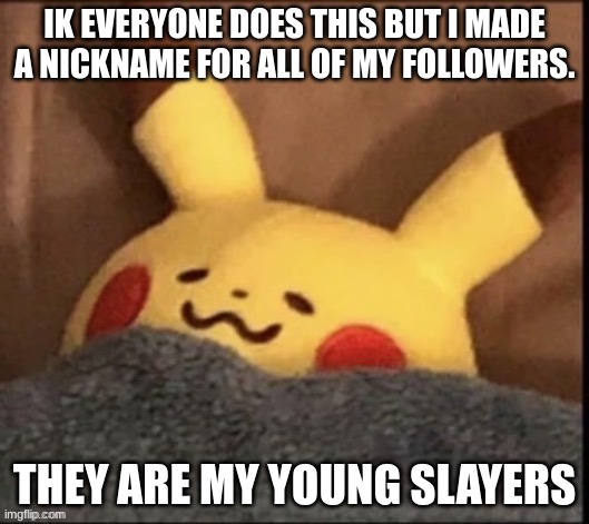 i sleep | IK EVERYONE DOES THIS BUT I MADE A NICKNAME FOR ALL OF MY FOLLOWERS. THEY ARE MY YOUNG SLAYERS | image tagged in i sleep | made w/ Imgflip meme maker
