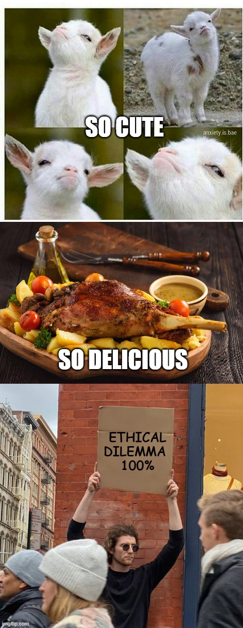 SO CUTE; SO DELICIOUS; ETHICAL DILEMMA 
100% | image tagged in proud lamb,memes,guy holding cardboard sign | made w/ Imgflip meme maker