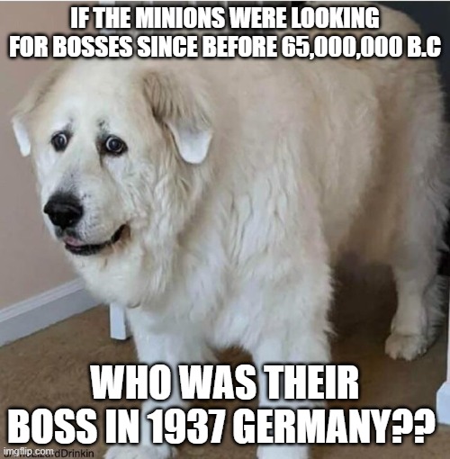 O_O |  IF THE MINIONS WERE LOOKING FOR BOSSES SINCE BEFORE 65,000,000 B.C; WHO WAS THEIR BOSS IN 1937 GERMANY?? | image tagged in scared dog | made w/ Imgflip meme maker