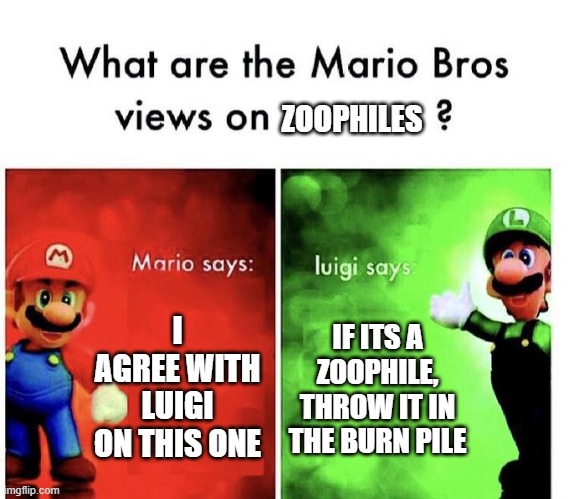 Zoophiles are not valid | ZOOPHILES; I AGREE WITH LUIGI ON THIS ONE; IF ITS A ZOOPHILE, THROW IT IN THE BURN PILE | image tagged in mario bros views | made w/ Imgflip meme maker