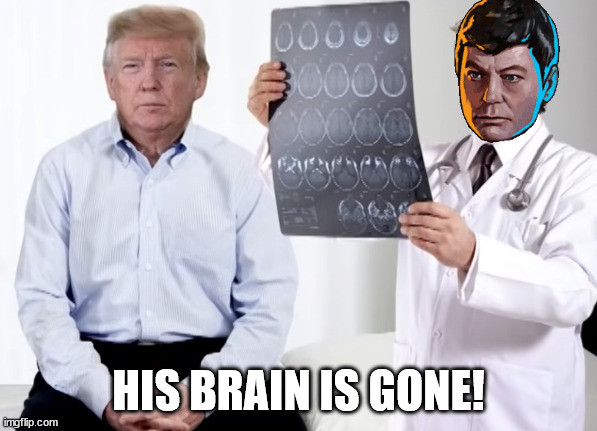 Subjectivisis remix. | HIS BRAIN IS GONE! | image tagged in brainless trump,bones mccoy | made w/ Imgflip meme maker