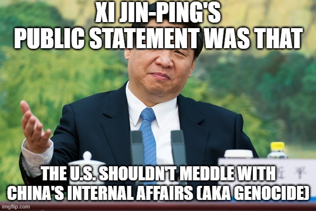 Xi Jinping | XI JIN-PING'S PUBLIC STATEMENT WAS THAT THE U.S. SHOULDN'T MEDDLE WITH CHINA'S INTERNAL AFFAIRS (AKA GENOCIDE) | image tagged in xi jinping | made w/ Imgflip meme maker