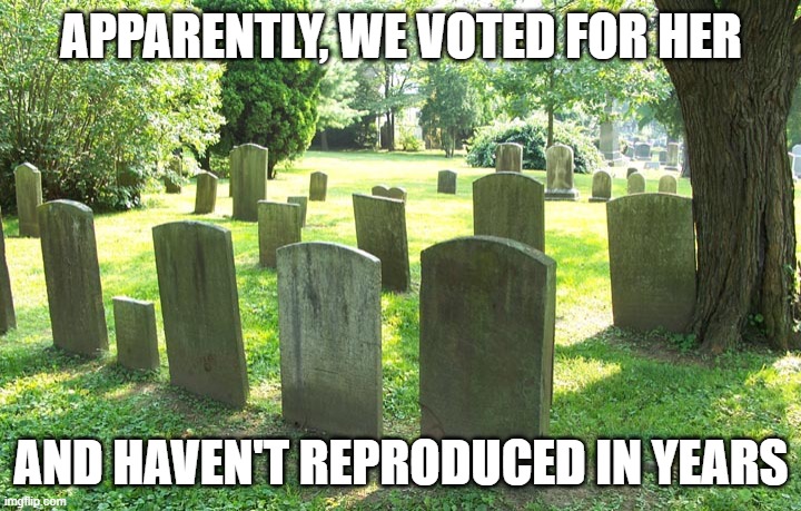 Cemetery | APPARENTLY, WE VOTED FOR HER AND HAVEN'T REPRODUCED IN YEARS | image tagged in cemetery | made w/ Imgflip meme maker