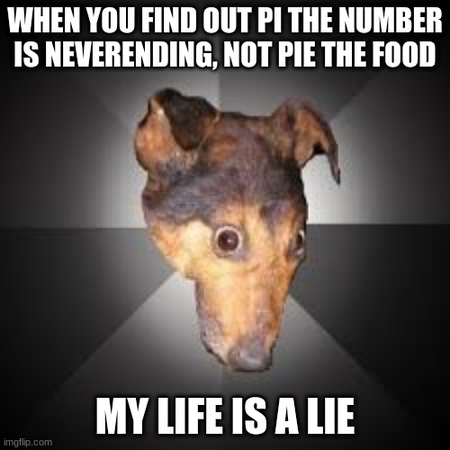 ONO | WHEN YOU FIND OUT PI THE NUMBER IS NEVERENDING, NOT PIE THE FOOD; MY LIFE IS A LIE | image tagged in pie | made w/ Imgflip meme maker