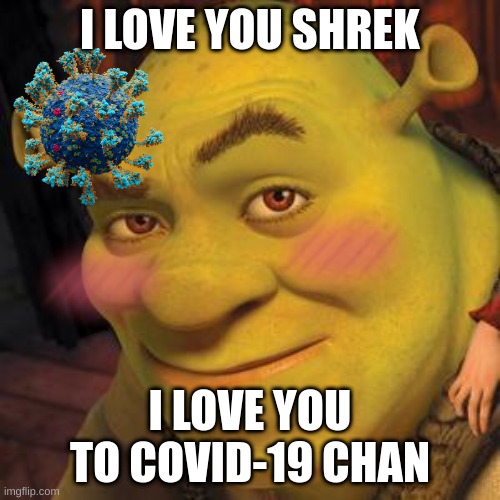 Shrek Sexy Face | I LOVE YOU SHREK; I LOVE YOU TO COVID-19 CHAN | image tagged in shrek sexy face | made w/ Imgflip meme maker