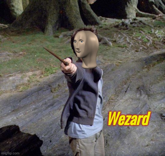 Harry potter | Wezard | image tagged in harry potter | made w/ Imgflip meme maker