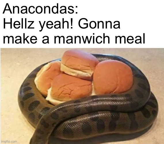 Anacondas: Hellz yeah! Gonna make a manwich meal | made w/ Imgflip meme maker