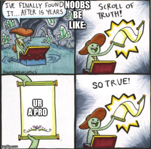 Lol | NOOBS BE LIKE:; UR A PRO | image tagged in the real scroll of truth | made w/ Imgflip meme maker