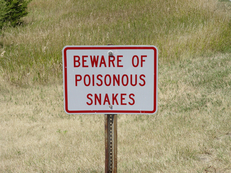 Beware of poisonous snakes Blank Meme Template