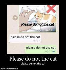 jhbv Blank Meme Template