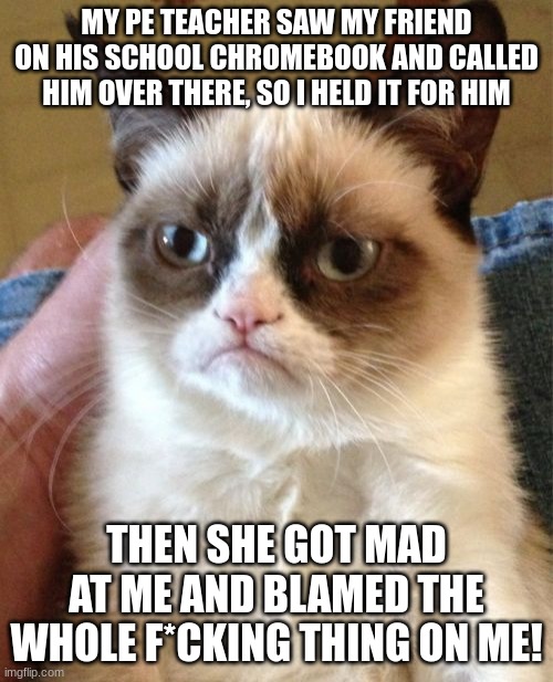 Grumpy Cat | MY PE TEACHER SAW MY FRIEND ON HIS SCHOOL CHROMEBOOK AND CALLED HIM OVER THERE, SO I HELD IT FOR HIM; THEN SHE GOT MAD AT ME AND BLAMED THE WHOLE F*CKING THING ON ME! | image tagged in memes,grumpy cat,among us blame | made w/ Imgflip meme maker