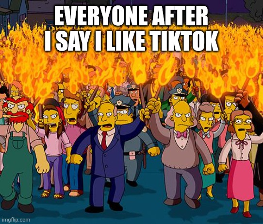 angry mob | EVERYONE AFTER I SAY I LIKE TIKTOK | image tagged in angry mob | made w/ Imgflip meme maker