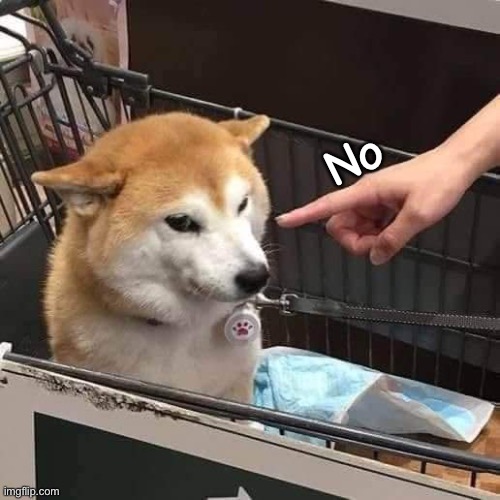 No horny | No | image tagged in no horny | made w/ Imgflip meme maker