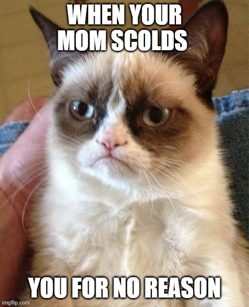 Grumpy Cat | WHEN YOUR MOM SCOLDS; YOU FOR NO REASON | image tagged in memes,grumpy cat | made w/ Imgflip meme maker